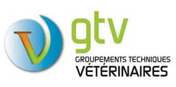GTV