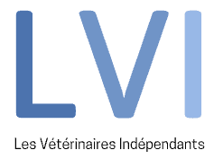 Logo LVI