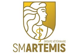 Logo SmartEmis