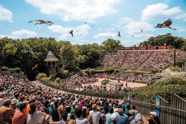 Vetoptim au Congrès annuel LVI 2025 au Puy du Fou